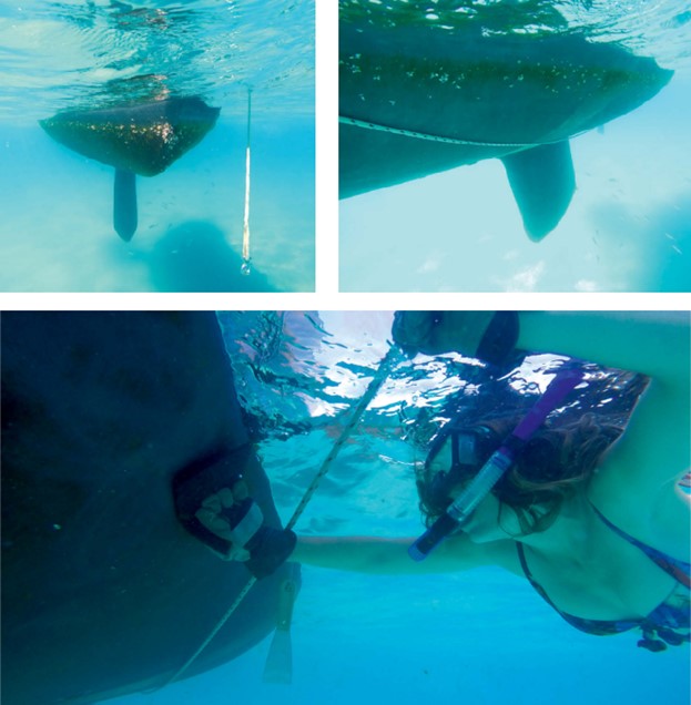 woman cleaning underwater