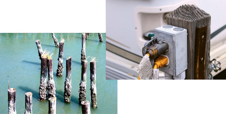 marina pilings and electrical