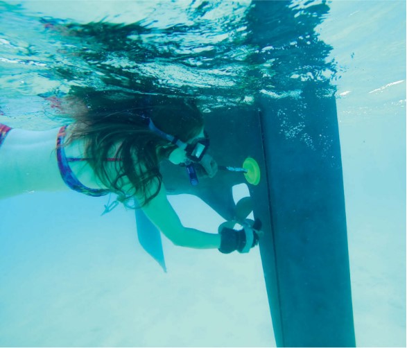 woman cleaning boat hull underwater
