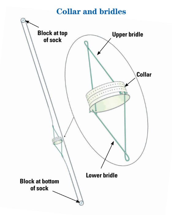 drawing of collar and bridles