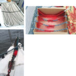 Shoal Survivor’s trampoline presents a convenient surface for Drew to lay out and measure his anchor chain for marking, top left. A discarded cardboard box protects the trampoline from overspray, top right, and is easy to dispose of afterward. Notches in the sides of the box prevent the chain from slipping. After 100 nights of anchoring in sand and mud, the first mark is well-worn but still very functional, above.