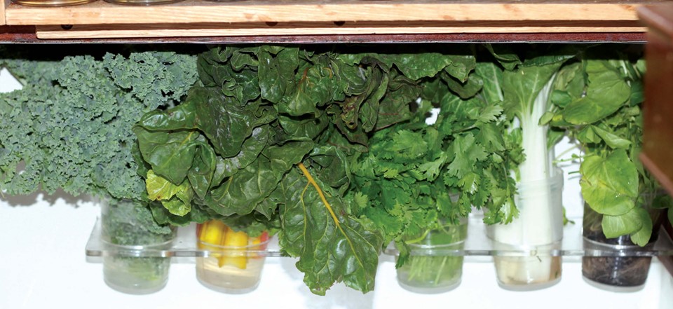 veggies in diy rack
