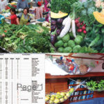 Fresh markets the world over, from Sydney, top of facing page, to Rodrigues Island in the Indian Ocean and Port Vila, Vanuatu, offer prolific and bewildering choices of vegetables, fruits, and other delights that never make their way onto a provisioning spreadsheet, at left, because . . . who would know what to name them? Once she’s brought her “freshies” on board, Marcie stows them in hammocks, top of page, where they are in plain view.