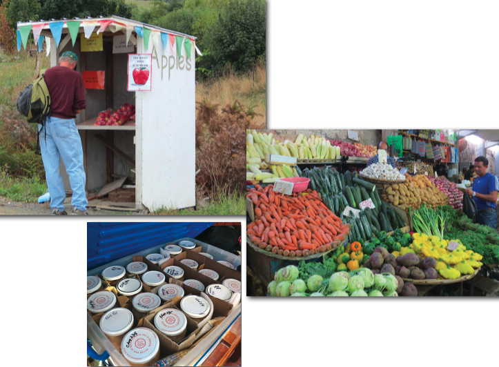 In Tasmania, David bought apples at an “honesty stand,” at left. The market in Port Louis, Mauritius, in the Indian Ocean, offered a variety of familiar vegetables, below. Marcie and David pressure can meats, at bottom, because they don’t have refrigeration on Nine of Cups.