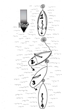 1. Preventer lines to the boom have been rigged and are reachable from the foredeck. The mainsail is scandalized and luffing and the helm is centered. The anchor has been dropped and the boat is moving backward. 2. The boat turns sideways while backing down as anchor rode is let out. Pulling on the preventer to move the boom to windward causes the sail to fill and the boat to pivot around the mast. 3. The stern falls off the wind as the mainsail is backed. The preventer is eased, the anchor rode is lightly snubbed, and the bow comes into the wind. (Preventer lines are not drawn on steps 3 and 4 for clarity.) 4. The scandalized sail resumes luffing. This can be repeated on the other side if the bow falls off to port.