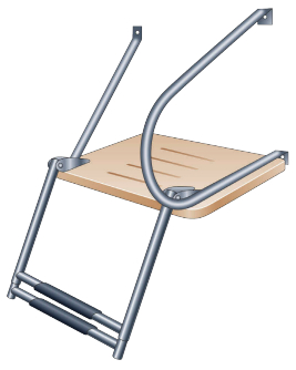 Swim platform ladder