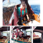 Ellen pops out of Entr’acte’s Bubble of Comfort to find the sun is shining, top of page. When closed (1), the Bubble protects the watchstander, sitting on the Maestro seat, from weather from aft. A swipe of the hand opens the side for a peep outside (2). The Bubble zips onto the dodger (3).