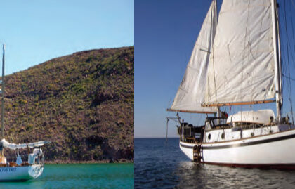 Doug Wilson cruised aboard his Mariner 31, Cactus Tree, in the Sea of Cortez, top of page. Tom Kucera’s Mariner 32, at left, was built in 1970 or ’71. He bought her in Mexico and had her trucked to Sausalito, California, where he has undertaken a three-year refit. Tom says that when they took the mast down, “the first turnbuckle exploded,” a clear demonstration of the long-term effect warm salt water has on rigging terminals. Now, he says, he doesn’t get nearly enough time sailing on San Francisco Bay.