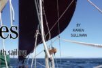 Chest-high lifelines increase safety, especially on small boat. A D-ring lashed to the shroud acts as a guide, and the line, when not in use, can be coiled and attached to the D-ring with its pelican hook.