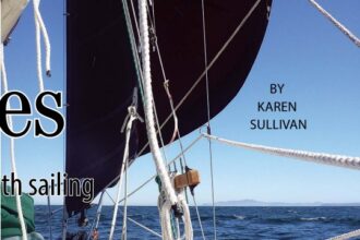 Chest-high lifelines increase safety, especially on small boat. A D-ring lashed to the shroud acts as a guide, and the line, when not in use, can be coiled and attached to the D-ring with its pelican hook.