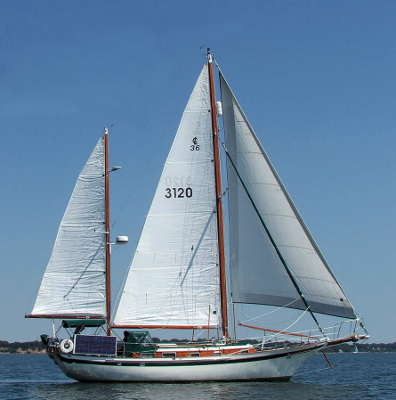 Picture of Rapport sailing