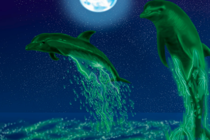 Illustration of dolphins at night