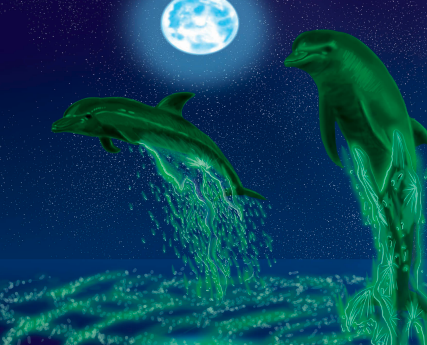 Illustration of dolphins at night