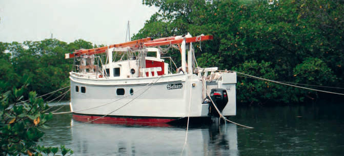 A boat on a river