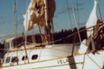 Picture of the boat Vela