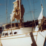 Picture of the boat Vela