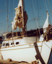 Picture of the boat Vela