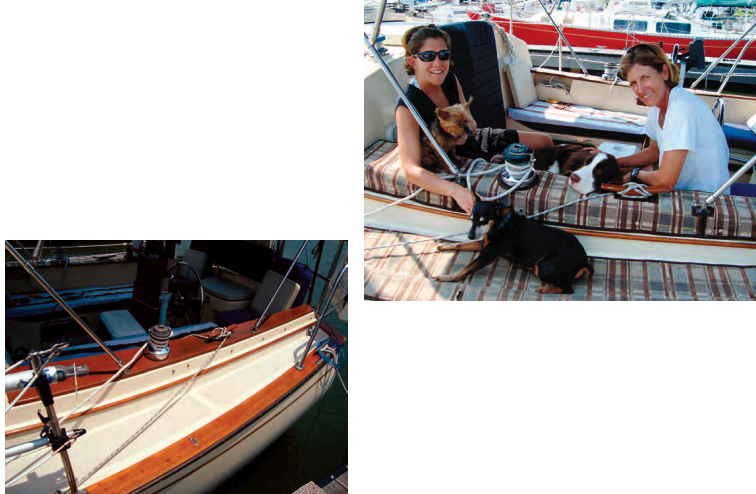 Custom cockpit mats made everybody happy aboard Amelie, above. Kelly Townsend (left) and Nancy Ballard don’t have to worry about scratches in the varnish, and Mattie (left), Sasha (center), and Winston are more comfortable walking (and lying) on the mats than on the hard slick surfaces they protect, at left.