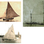 The Bermudian sloop, bottom left facing page, was an early adopter of the leg 'o mutton mainsail, as was the Chesapeake Bay skipjack, above. North American raceboats achieved a similar shape with a sliding gunter, upper right facing page. In 1890, the Jarvis-designed Thistledown first had a lug rig, bottom right facing page. and later a batwing sliding-gunter rig, at left, modeled on a sailing-canoe rigs. Canoes themselves tried many configurations ant bottom.