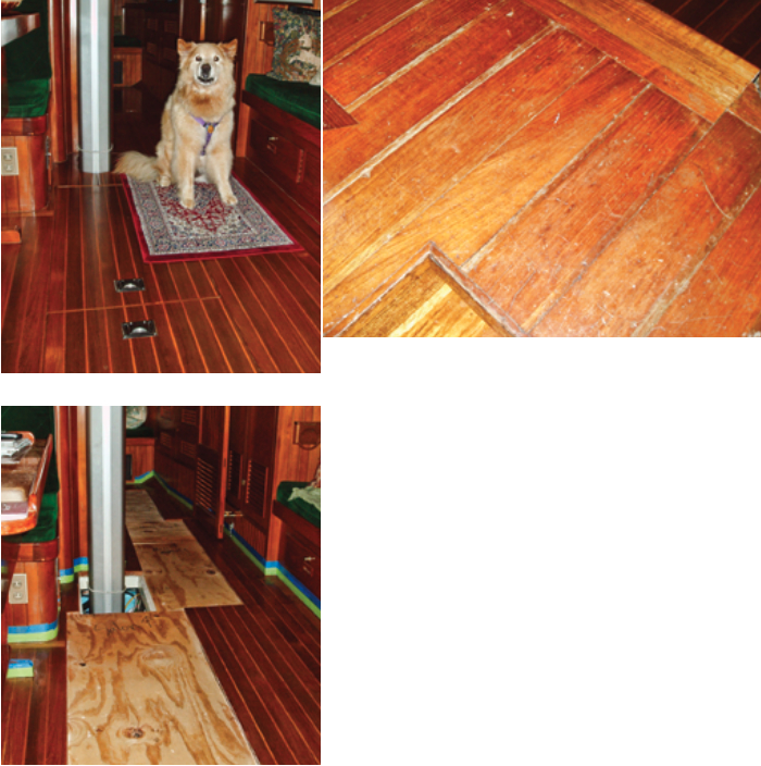 Maya obediently stays off La Vita’s shiny new cabin sole, at top. Temporary plywood floorboards provided something to walk on while Stephanie did the refinishing, above. She protected the adjacent lacquered surfaces with two layers of masking tape. Stephanie took on the project because the sole was showing its 27 years of use, facing page.