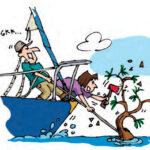 Illustration of being anchored on a tree