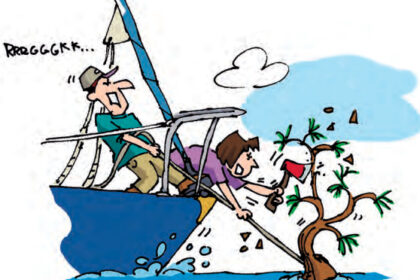 Illustration of being anchored on a tree