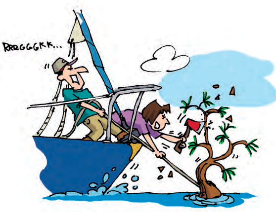 Illustration of being anchored on a tree