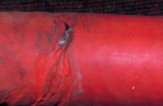 The raw-water supply hose to the engine was chafed almost through where it passed through the bulkhead.