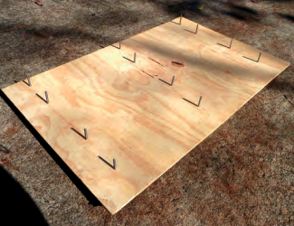 It looks like a low-thread-count bed of nails . . .