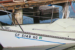 Lake Tahoe never freezes but it has been known to get enough snow to sink a boat.