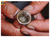 Inspect the female thread for signs of rust and traces of thread sealant.