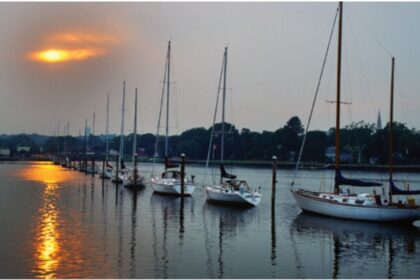 Sailboats on water
