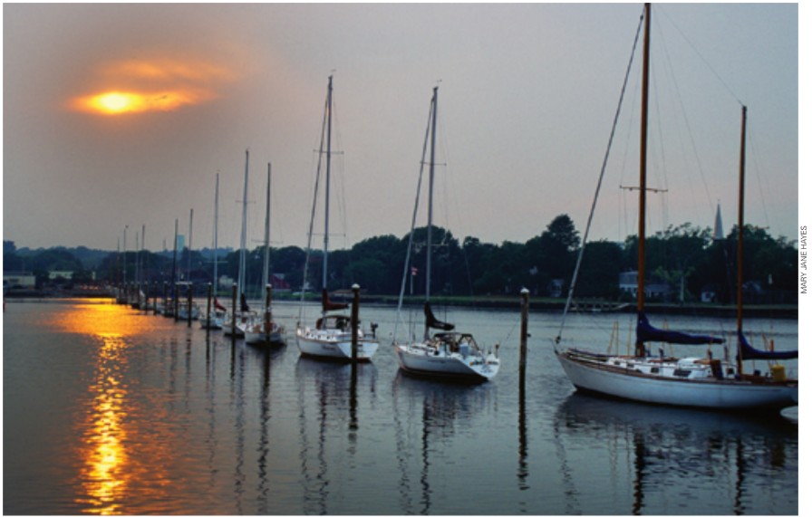 Sailboats on water