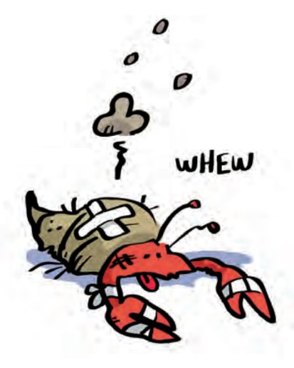 Illustration of a crab