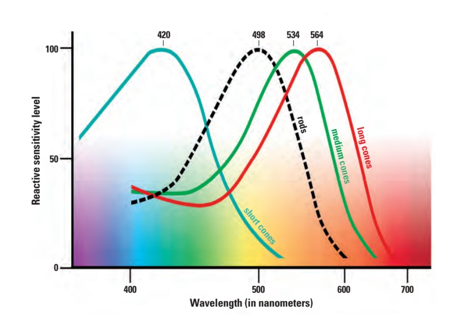Reactive sensitivity chart
