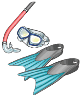 Snorkel and scuba illustration