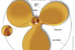 Viewed from astern, this propeller rotates counterclockwise with the engine in forward gear, making it a left-handed prop. The numbers stamped on the hub indicate that it has a diameter of 16 inches and a pitch of 11 inches.