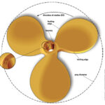 Viewed from astern, this propeller rotates counterclockwise with the engine in forward gear, making it a left-handed prop. The numbers stamped on the hub indicate that it has a diameter of 16 inches and a pitch of 11 inches.