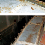 The original toerail resisted Stephen’s attempts to rescue it so he cut it either side of the bolts, at top, and removed it in pieces, above.