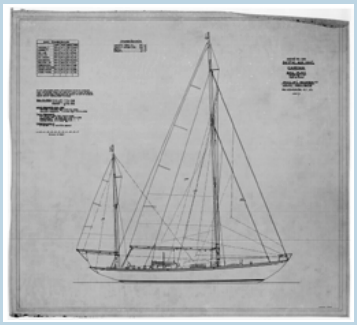 Sail plan for Carina