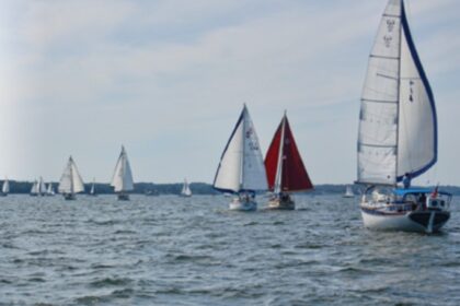 sailboats on water