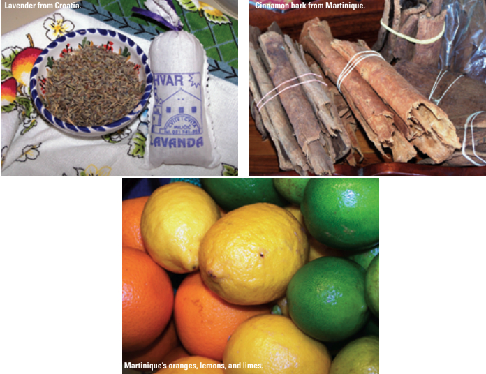 Pictures of different ingredients