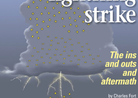 Lightning results when particles with opposite charges accumulate at the base of a thunderhead and on the earth’s surface.