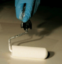 Applying the paint with a foam roller.