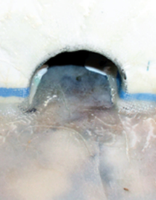 Incorporating the drain tunnel.