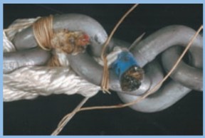 supplies for rope-to-chain splices