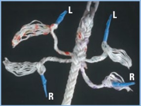 supplies for rope-to-chain splices