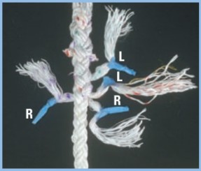 supplies for rope-to-chain splices