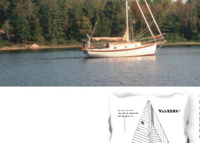 Fred Bingham ran Allegra ads in the early 1980s. This one captured the imagination of Roger Lautenbach.