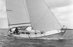 The T/L 29, which stood for Tripp/Lentsch, was not a rewarmed Tripp 30.
